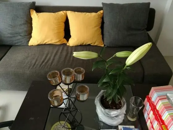 Baan der Bruyn - Lobi