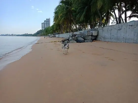 Baan Hai Bangsaray - Plaj