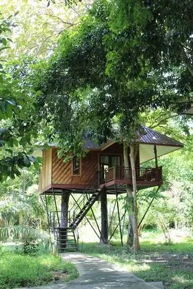 Baan Khao Sok Resort - Dış Mekan