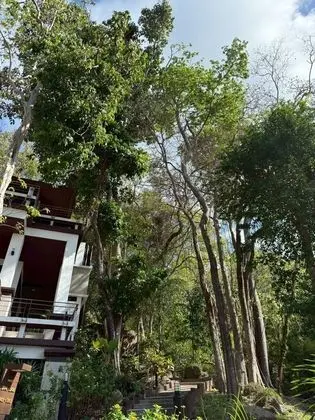Baan Krating Phuket Resort - Dış Mekan