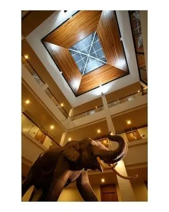 Baan Saikao Plaza Hotel & Service Apartment - İç Mekan