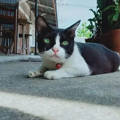 Baanklangsoi - Dış Mekan