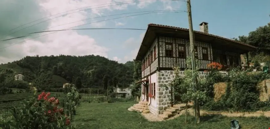 Babalık Doğal Yaşam Konağı - Genel