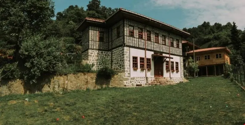 Babalık Doğal Yaşam Konağı - Genel