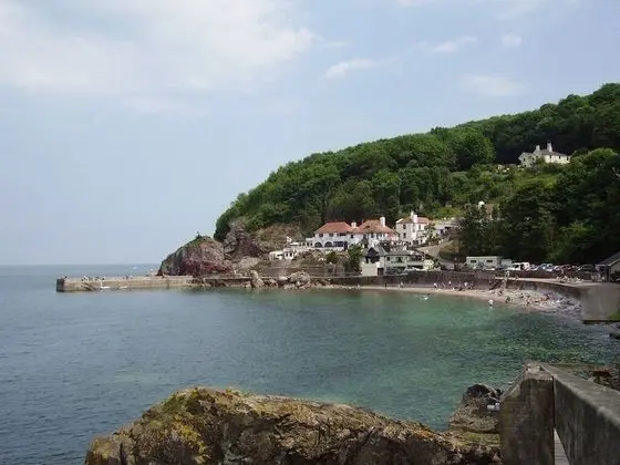 Babbacombe Palms - Plaj