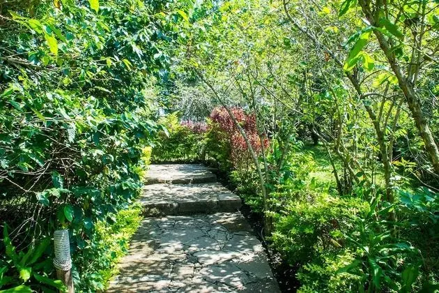 The Baboon Safari Resort - Dış Mekan