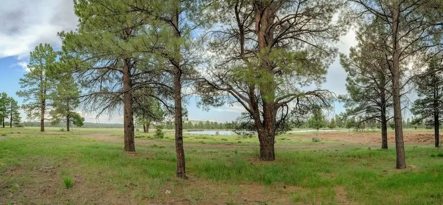 Backland Glamping Resort - Grand Canyon - Dış Mekan