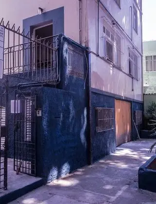 The Backpacker Cat Hostel