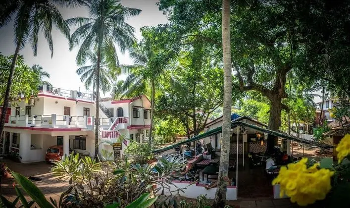 Backpacker Panda Goa