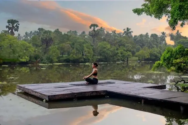 The Backwaters