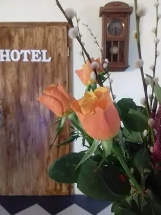 Hotel Bad Langensalza Eichenhof - Lobi