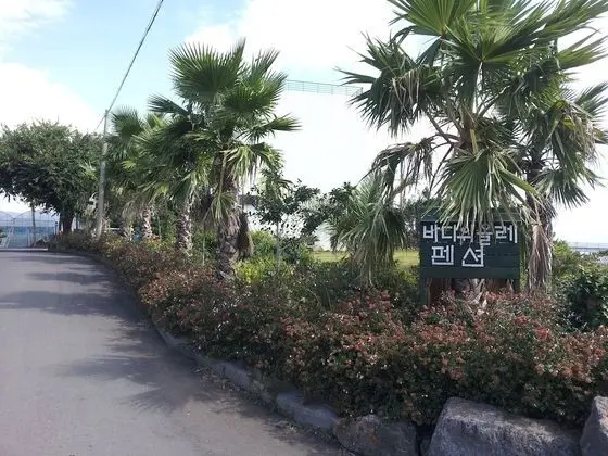 Bada Wi Olle Pension - Dış Mekan