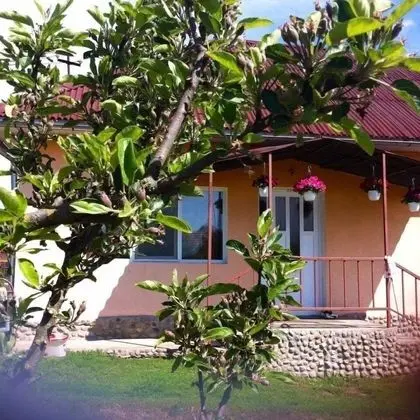 Badesti Farm House - Öne Çıkan Resim