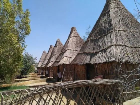 Badry Sahara Camp