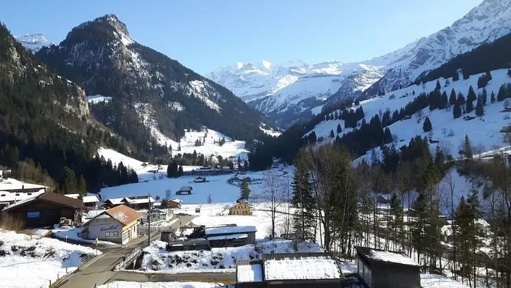 Hotel Baeren