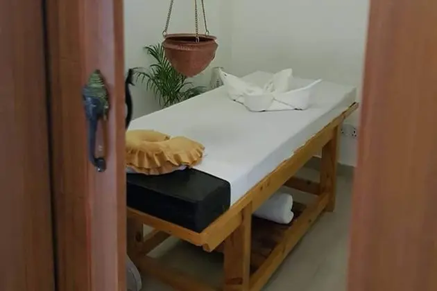 Bagaincha Wellness Resort - Spa