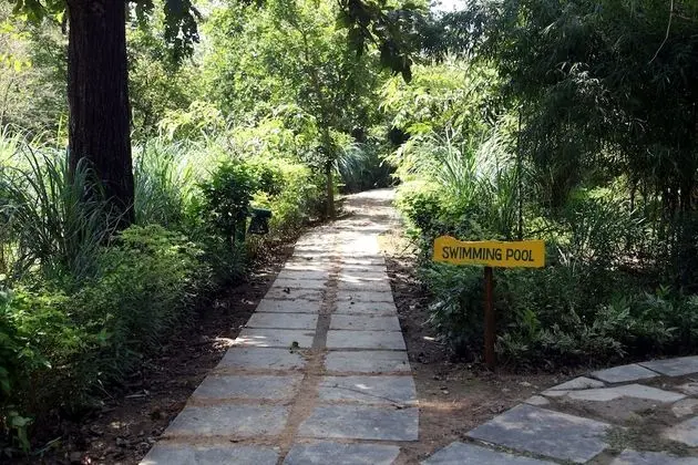 The Bagh - A Forest Retreat Kanha - Dış Mekan