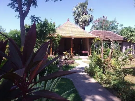 Bagus Homestay Pemuteran - Dış Mekan