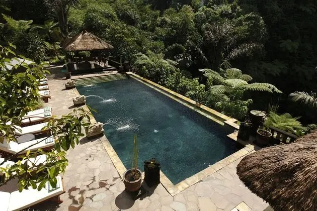 Bagus Jati Health & Well Being Retreat - Havuz