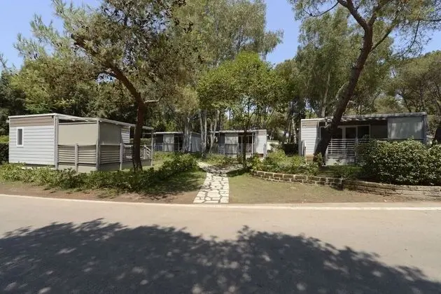 Baia Domizia Camping Village - Dış Mekan