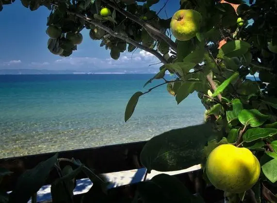 Balconies on Sea - The Garden Apartment - Plaj