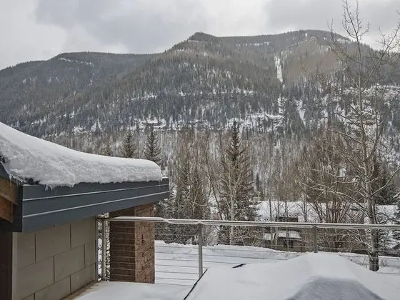 Bald Mt Home