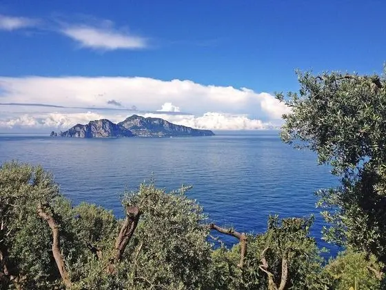 Baldassarre Massa Lubrense - Oda