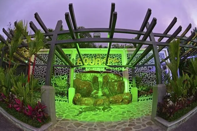 Baldi Hot Springs Hotel and Spa - Spa
