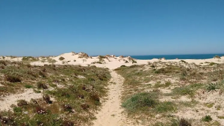 Baleal Zensations Guesthouse - Plaj