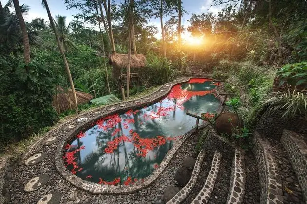 Bali Dacha