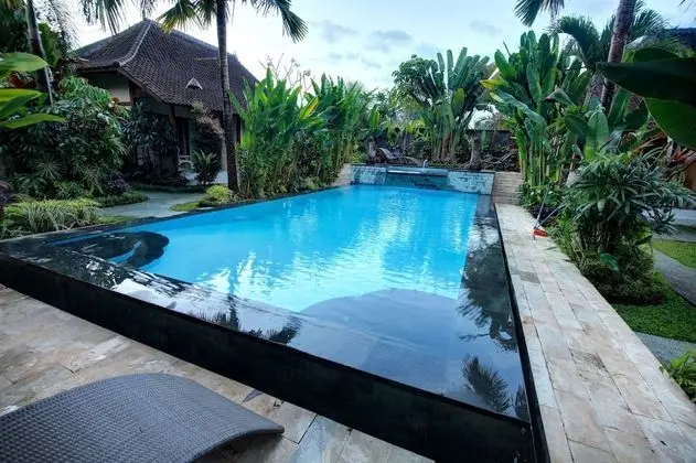 Bali Dream Resort Ubud - Havuz