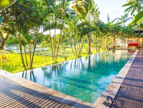 Bali Harmony Villas - Dış Mekan