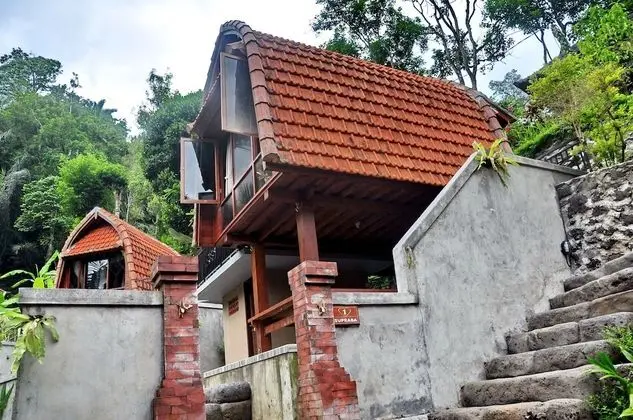 Bali Jungle Huts - Dış Mekan