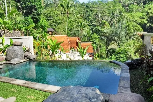 Bali Jungle Huts - Havuz