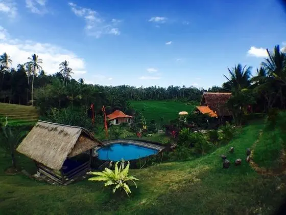 Bali Lush