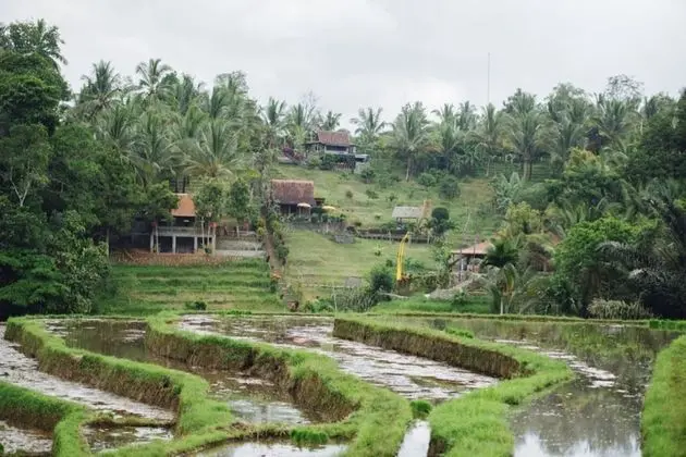 Bali Lush - Dış Mekan