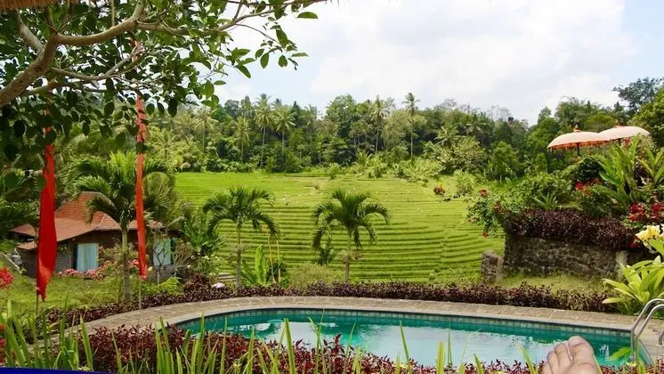 Bali Lush - Havuz