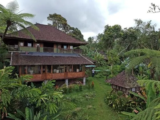 Bali Mountain Retreat - Yerinde Yemek