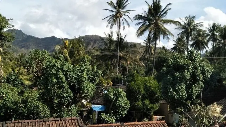 Bali Sari Homestay