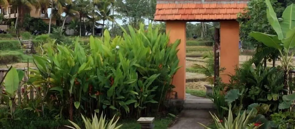 Bali Suksma Villa - Dış Mekan