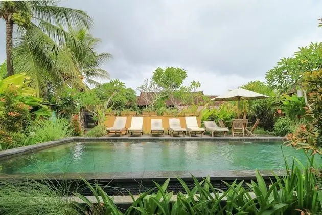 Bali Sunshine Homestay And Art Gallery - Havuz