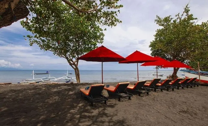 Bali Taman Lovina Resort & Spa Suites - Plaj