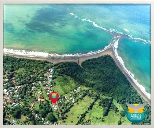 Ballena Paradise Aparta Hotel - Plaj