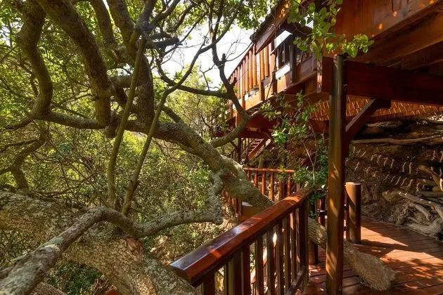 Ballots Bay Treehouse by HostAgents