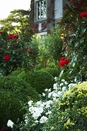 Ballymascanlon House Hotel - Dış Mekan