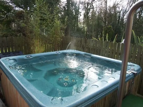 Ballymascanlon House Hotel - Havuz