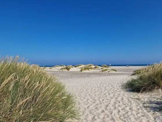 Balmy Holiday Home in Skagen near Sea - Plaj