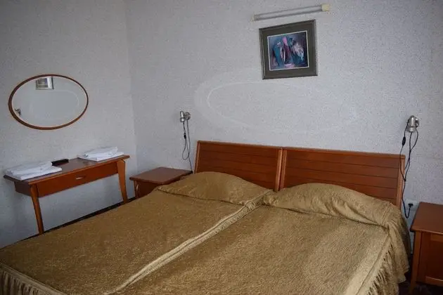 Balneo Hotel Pavel Banya - Oda