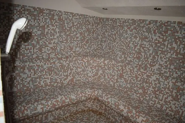 Balneo Hotel Pavel Banya - Spa