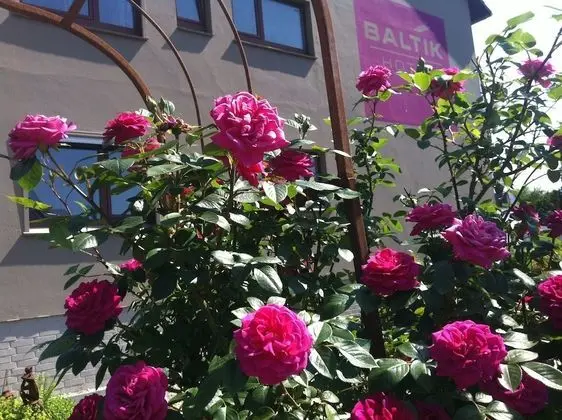 BALTIK Kunsthotel - Dış Mekan